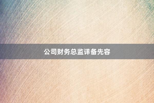 公司财务总监详备先容