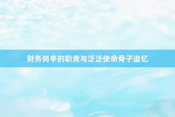 财务岗亭的职责与泛泛使命骨子追忆