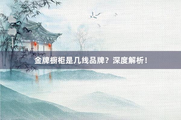 金牌橱柜是几线品牌？深度解析！