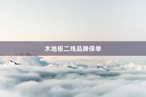 木地板二线品牌保举