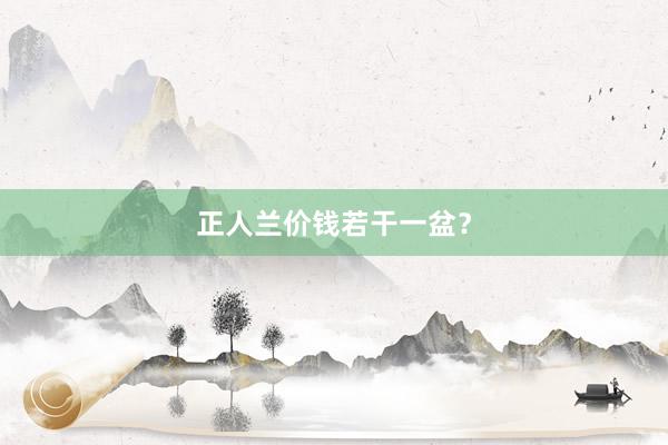 正人兰价钱若干一盆？