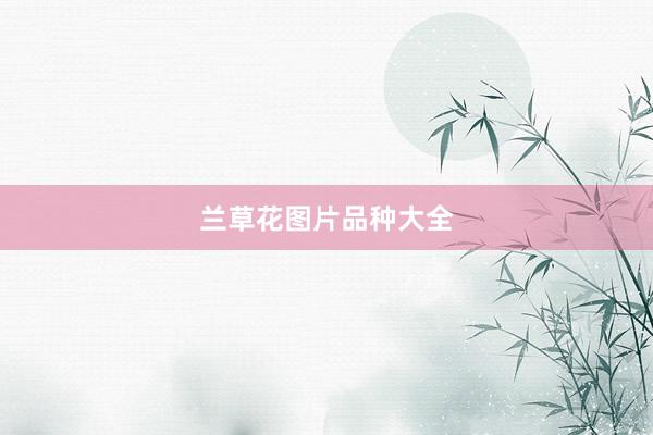 兰草花图片品种大全